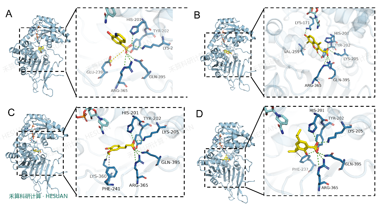 Figure 5. Based on the pairing obtained: A) Target A_Compound M;; B) TargetA_Compaund L;; C) Targeta_Compuund N;; D) Target's binding mode: A_compound K, left to the overall view, right to the local view, yellow stick to the small molecule, blue cartoon to the protein, green to the hydrogen bonds, gray to the drainage, and yellow to the salt bridges.