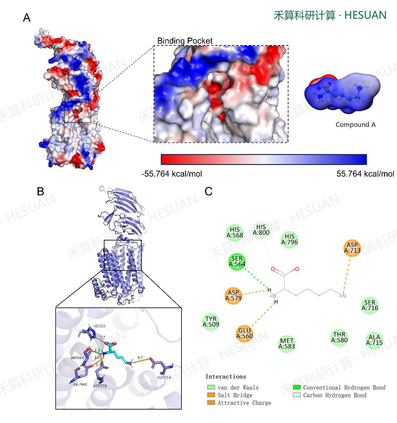 Scientific report figure for From Complex Modeling to Dynamic Stability Review
