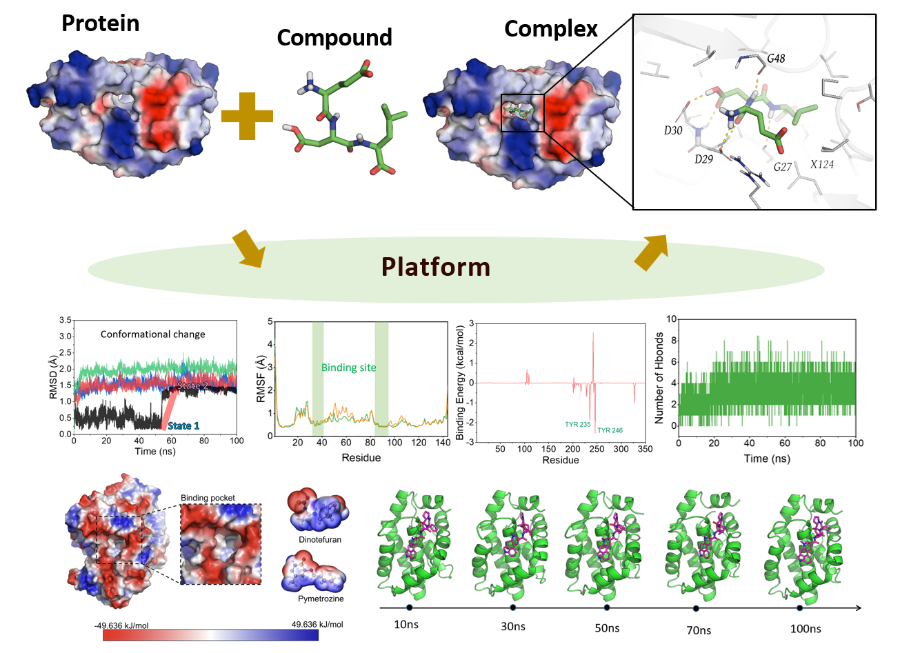 Scientific visual for molecular interactions and mechanism studies